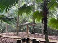 Malacca Botanical Garden & Bee Gallery – A Nature-Filled Side Trip