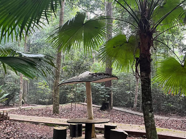 Malacca Botanical Garden & Bee Gallery – A Nature-Filled Side Trip