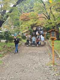 1Day Tripที่คาวากูจิโกะ 🏔