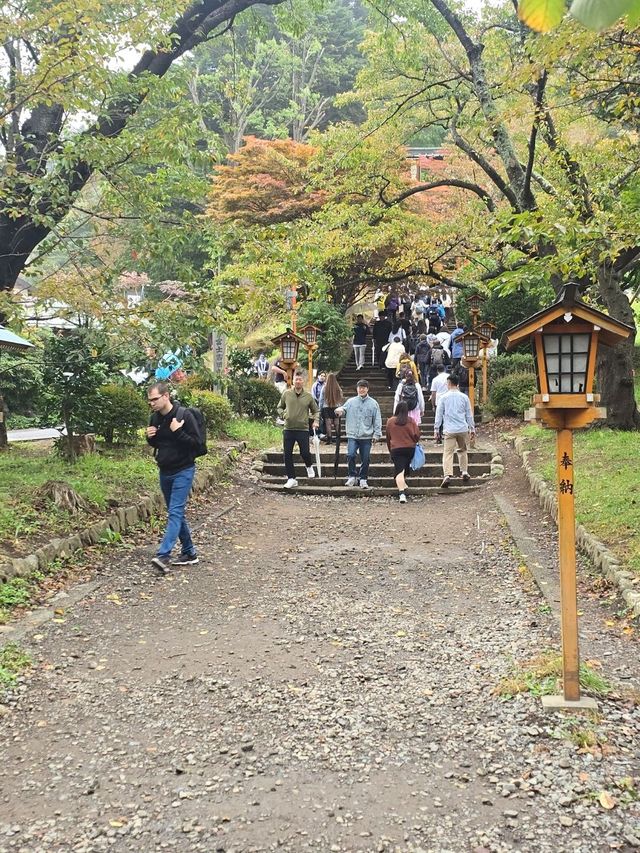 1Day Tripที่คาวากูจิโกะ 🏔