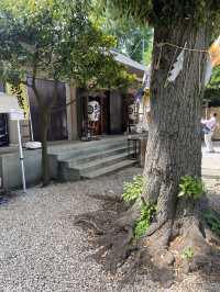 【東京都品川🇯🇵 蛇窪神社】東京の白蛇さまへ☺️