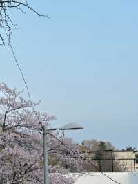 A Stroll Through Gyeongnidan-gil: A Look Back and Forward