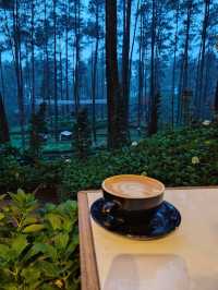 Lapinea Cafe & Resto