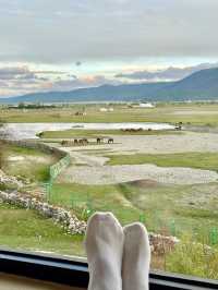 Is it worth staying at Napahai grassland at Shangrila