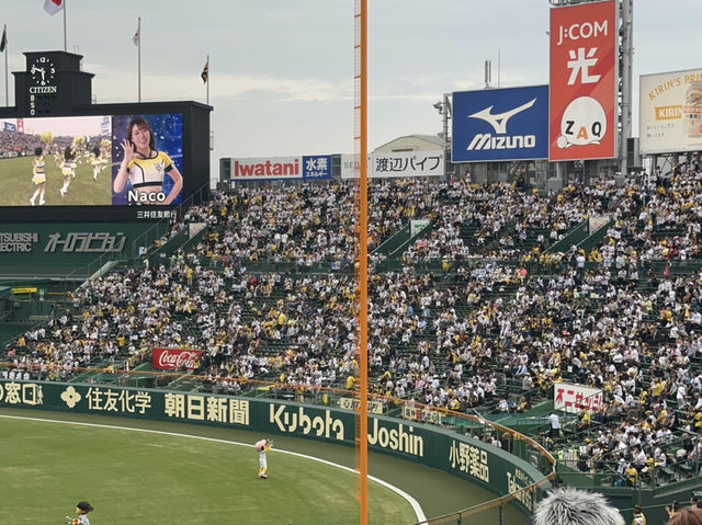 初踏甲子園：一場夢想與遺憾並存的棒球夜