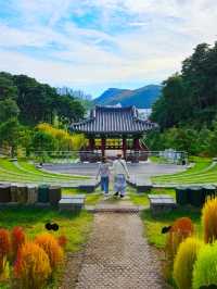 미세먼지차단삼척숲_💚삼척 인의예지림