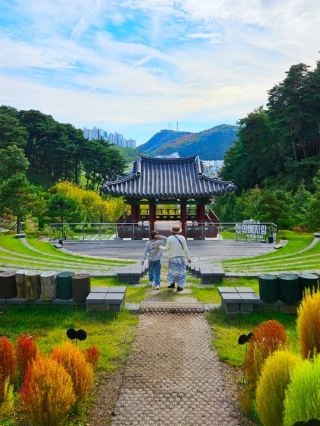 A Forest That Blocks Fine Dust in Samcheok: The Inuiyeji Forest of Samcheok Hyanggyo