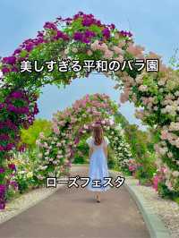 大阪 ︎❤︎2,400株が咲き誇る🌹🌹🌹260円で見れる絶景〜♡ 