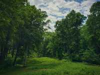 Sacred Paths: Hiking Through Effigy Mounds