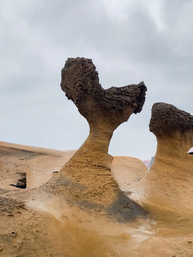 🌊 A Journey to Yehliu Geopark: Taiwan’s Natural Masterpiece Carved by Wind and Sea
