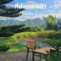 ที่พักกลางป่าสน บ่อเกลือ จังหวัดน่าน