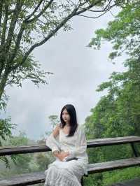 KhaoYai 🌳🍃