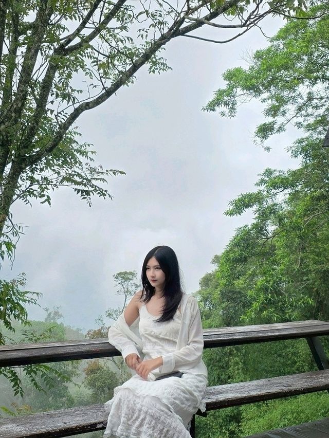 KhaoYai 🌳🍃