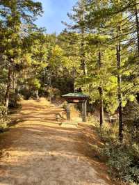 Tiger’s Nest Monastery – A Sacred Trek That Tests Your Limits