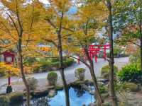 Boiling Beauty and Steamy Surprises: Exploring the Hells of Beppu