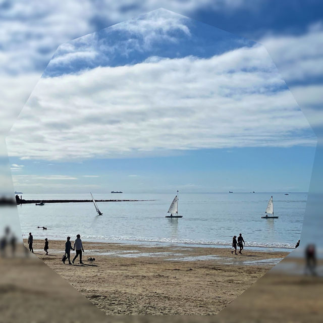 【NZ】🌿オークランド観光1日モデルコース🌊✨