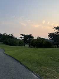 초록빛 그린, 시원한 바람… 안성에서의 완벽한 티타임