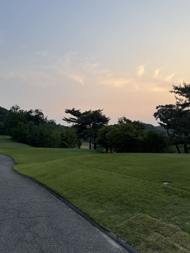 초록빛 그린, 시원한 바람… 안성에서의 완벽한 티타임