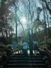 Lingyin Temple 