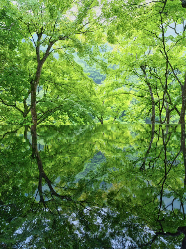 【雨でも楽しめる室内絶景】「水鏡」の絶景に息をのむ🌿💧✨※周辺観光情報付