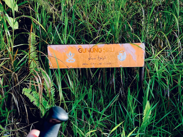 Why I couldn’t reach Mossy Forest until I came here — Gunung Siku, Pahang 🌿⛰️