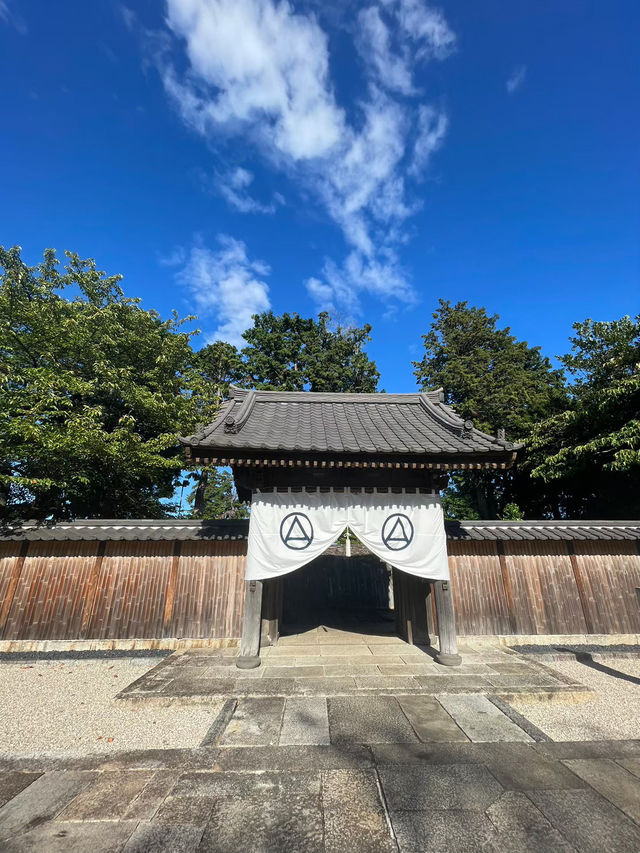 自然とアートが融合した美しすぎる美術館🌿🤍