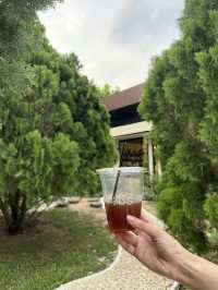 TEDS Coffee & Eatery คาเฟ่ Pet-Friendly 