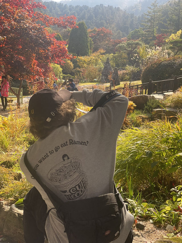 【ソウル近郊】ロケ地によくなる樹木園🌲