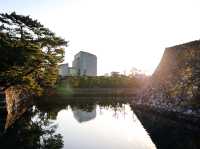 【🇯🇵高松】朝の静寂に包まれた玉藻公園で心穏やかなひとときを