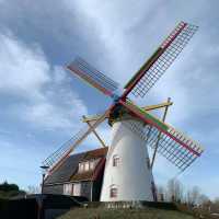 Spring in the Netherlands: A Season of Blooms and Beauty