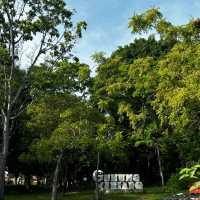 🥾 Hiking in Alor Setar: Gunung Keriang (Crystal Hill)