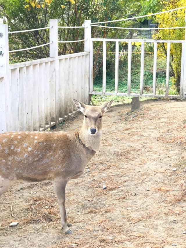 보령여행 고민한다면, 꼭 한번 가보세요!🚘