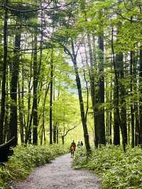 Summer Trek Through Kamikochi’s Alpine Wonderland