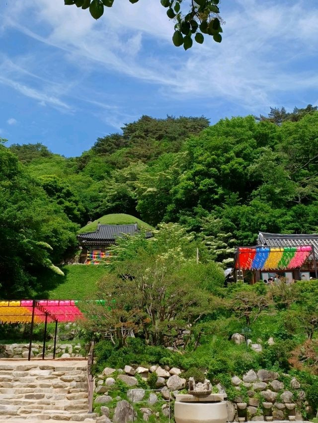 산길 따라 걷는 고요한 사색의 시간