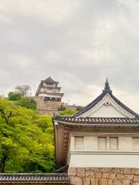 香川｜四百年丸龜城遺跡 最小的天守與日本最高的石垣