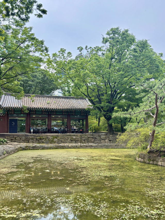 여름 날 선선하게 걷기 좋은 서울 도심속 궁궐🌳💛