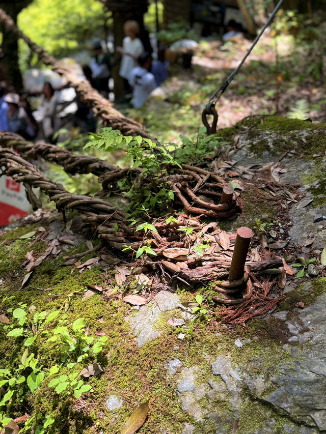 德島｜心跳加速產生戀愛錯覺的橋？ 日本三大奇橋祖谷藤蔓橋