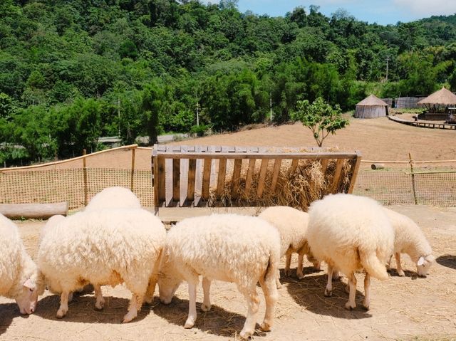 เพชรบูรณ์ 🧸🌲💚🍃