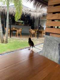 Coco's Nai Harn Cafe 