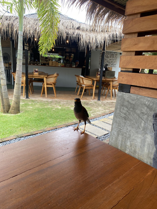 Coco's Nai Harn Cafe 