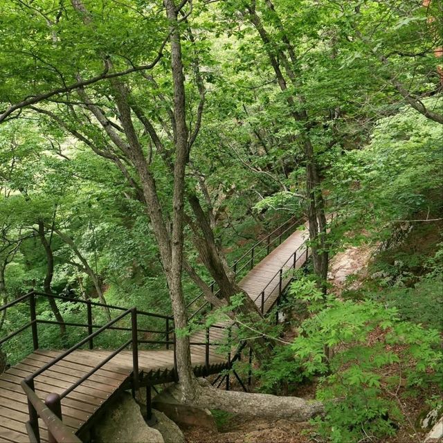 Easy Climb, Solid Views