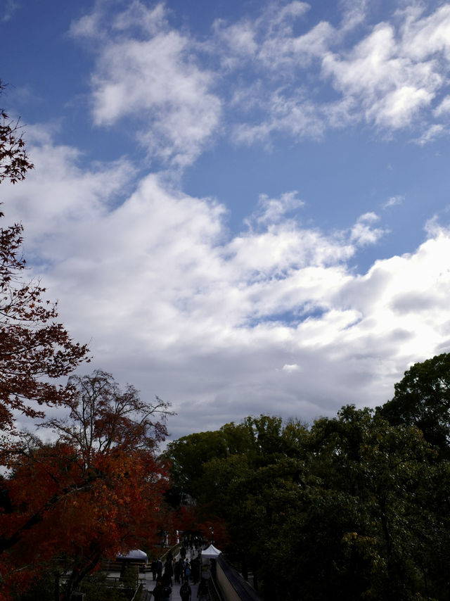 🏯【京都 北山】水面にきらめく、静寂の金色。「金閣寺」で心をととのえる旅🌿✨ 