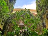 "Urban Oasis Amidst Bali's Bustle"