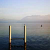 A Summer Escape to Lake Geneva: Where Alps Meet Azure Waters