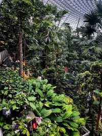 Jewel Changi Airport – Where Nature, Retail & Travel Converge