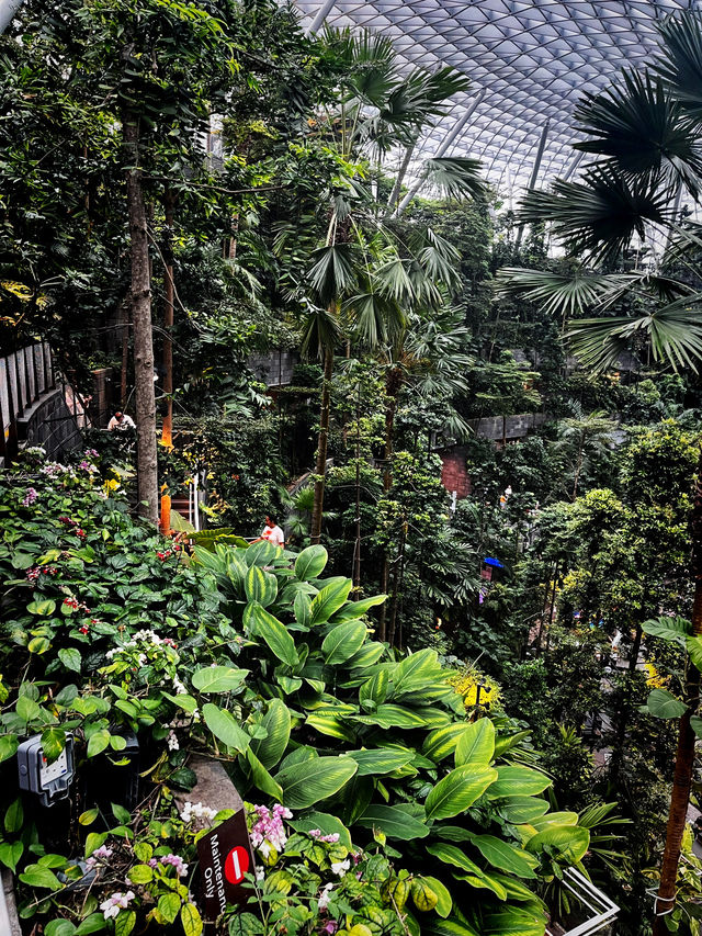 Jewel Changi Airport – Where Nature, Retail & Travel Converge