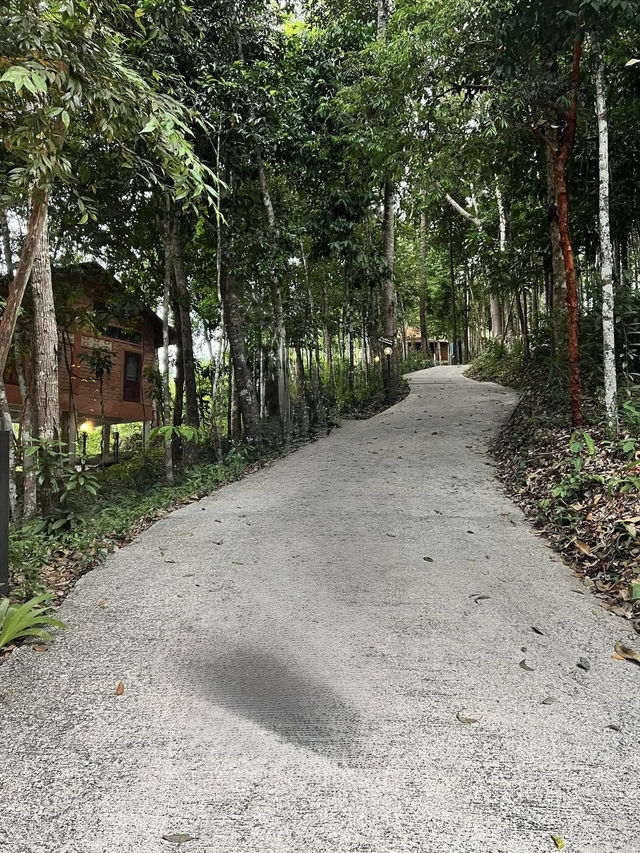 🌿 รีวิว Chestnut Hill Eco Resort