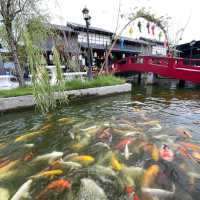 ฮาราจูกุ ไทยแลนด์