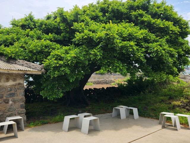 제주 애월 커피냅로스터스 - 커피 전문점