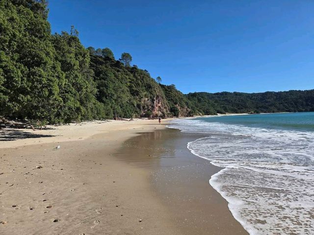 Hot Water Beach